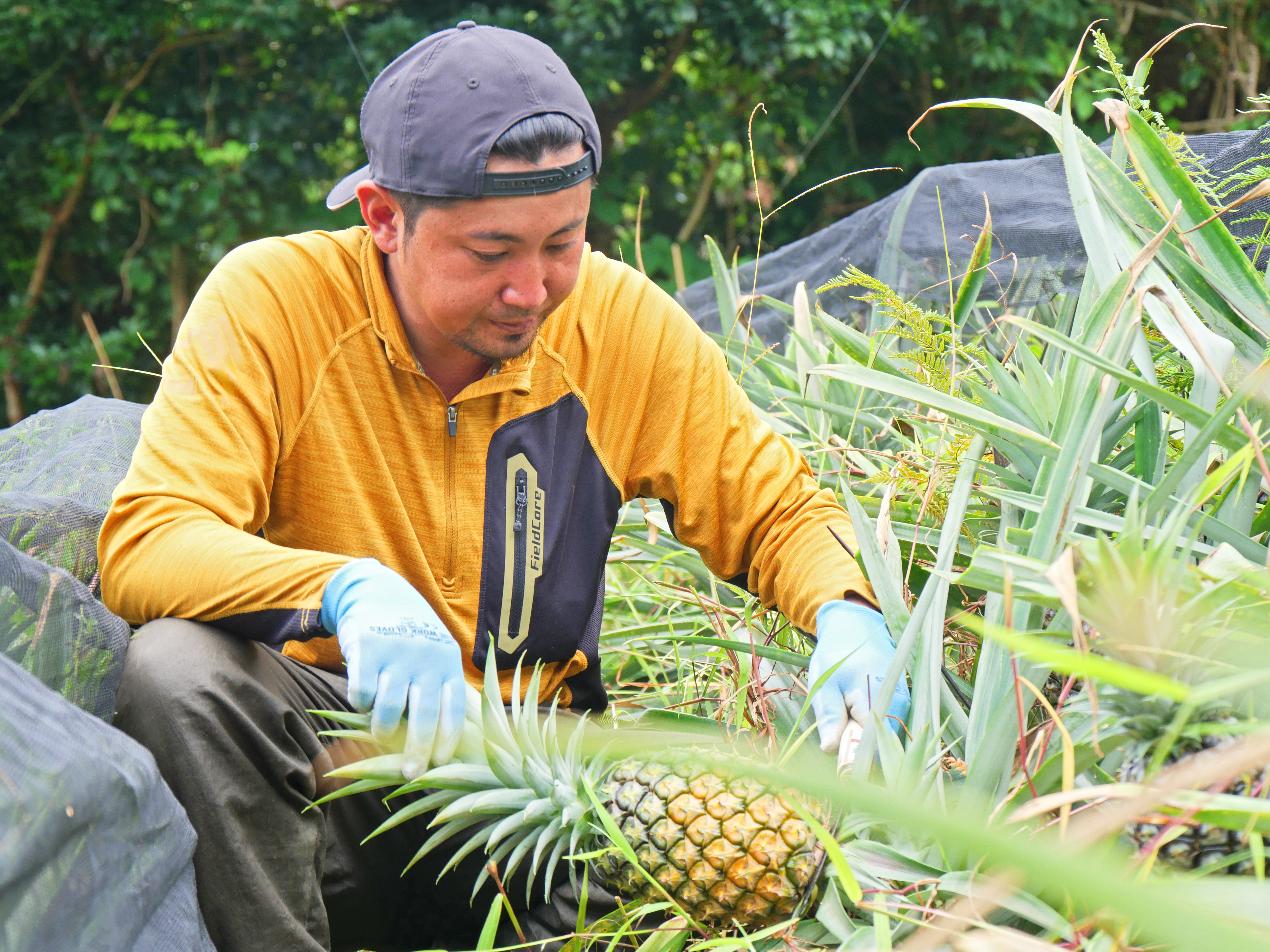 自然な土づくり
