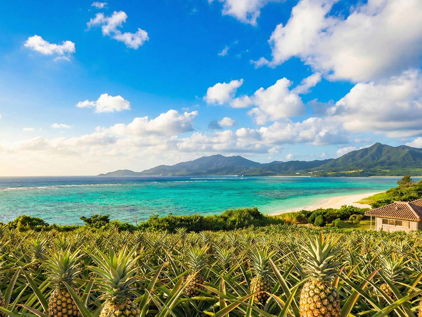 石垣島の美しい風景