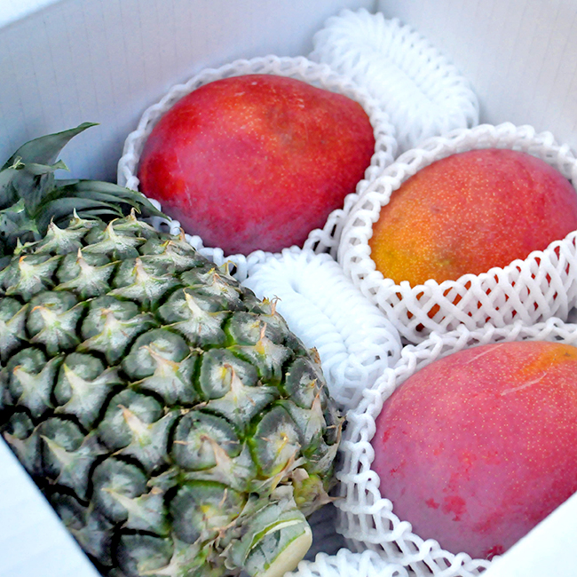 マンゴーパイナップルセット